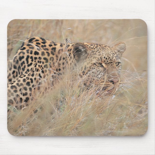 Leoparden im Grasland verhüten Mousepad (Vorne)