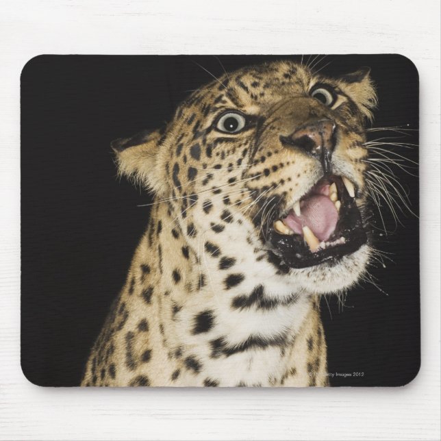 Leoparden Mousepad (Vorne)