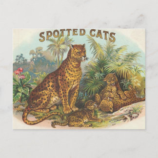 Leoparden Postkarte