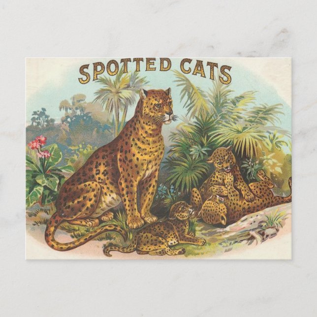 Leoparden Postkarte (Vorderseite)