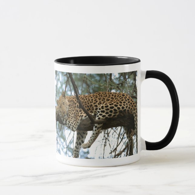 Leoparden-Ruhen im Baum Tasse (Rechts)