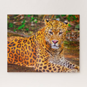 Leoparden sind Großkatzen. Puzzle