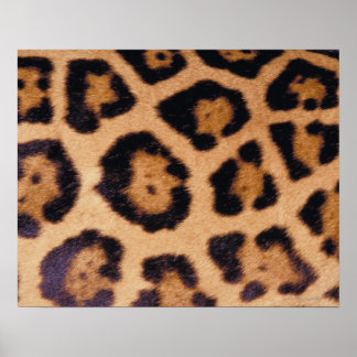 Leopardenhaut Poster
