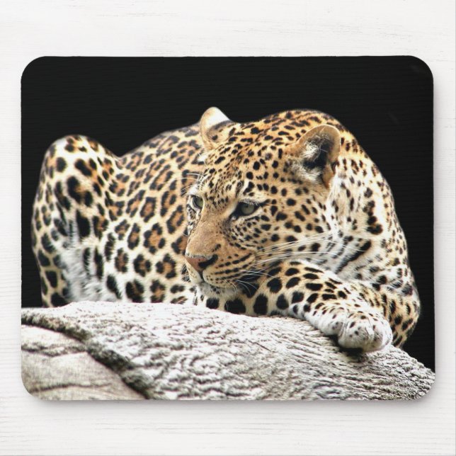 Leopardenmousepad Mousepad (Vorne)