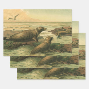 Leopardenseehunde, Vintage Wassertiere Meeresleben Geschenkpapier Set