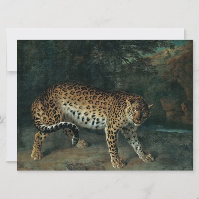 Leopardess (von Jean-Baptiste Oudry) Karte (Vorderseite)