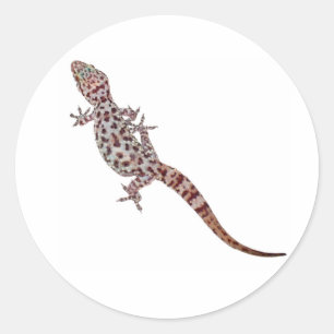 LeopardGecko Runder Aufkleber