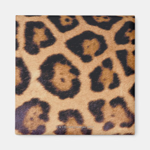 Leopardhaut Magnet