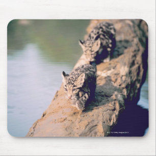 Leopardjunge auf Klotz Mousepad