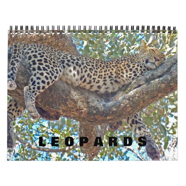 LEOPARDS - ALLE LEOPARD CALENDAR KALENDER (Titelbild)
