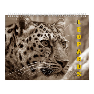 Leopards-Kalender Kalender