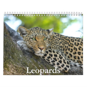 Leopards-Kalender Kalender