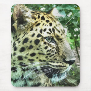 LEOPARDS MOUSEPAD