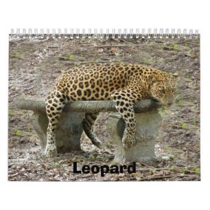 LeopardSundari_010, Leopard Kalender