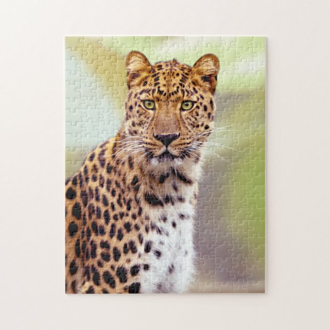 Leoparfotografie Puzzle (Vertikal)
