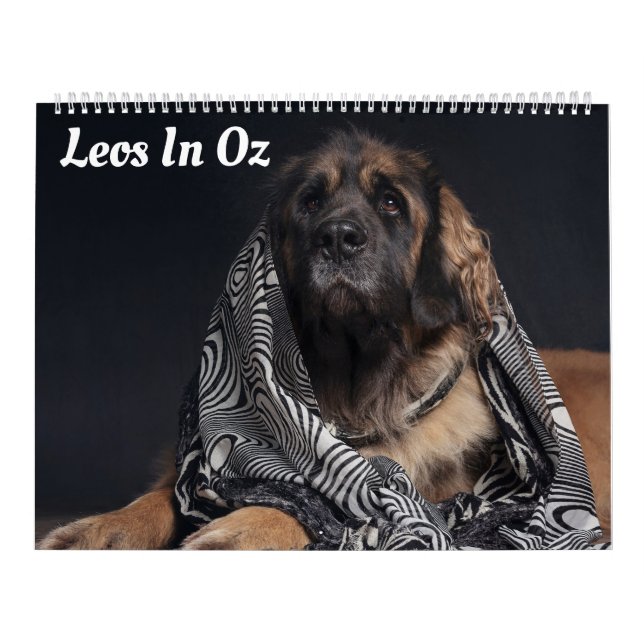 Leos in Oz Kalender (Titelbild)