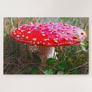 Leprechauns, wo die kleinen Leute Irland leben Puzzle