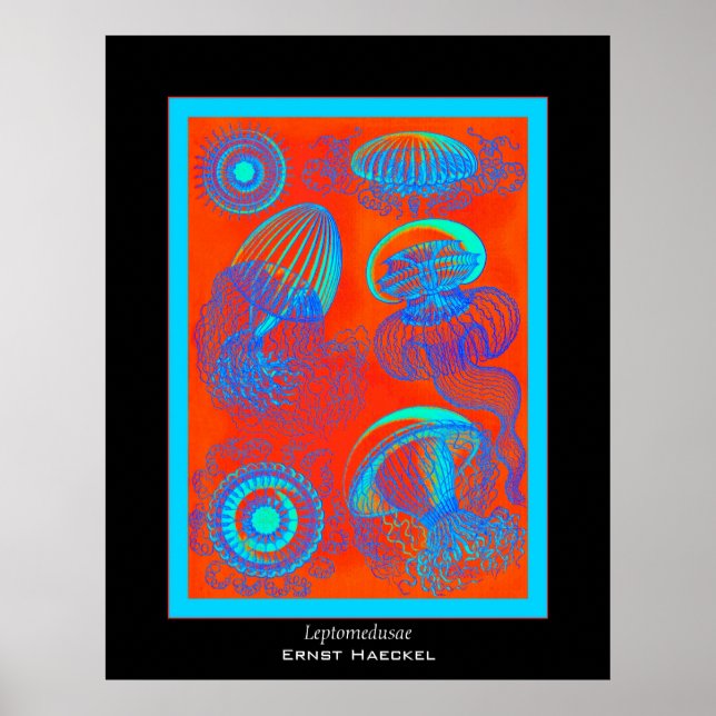 Leptomedusae ~ Ernst Haeckel Print Poster (Vorne)