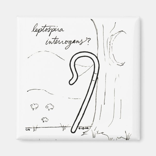 Leptospira Interrogans Magnet (Vorne)
