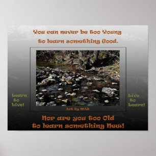 Lerne zu leben, lebe um zu lernen 2 poster