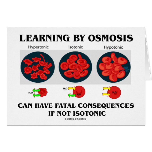 Lernen durch Osmose - Todesfolgen (Biologie) (Vorderseite (Horizontal))