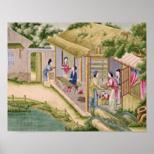 Lernen über Seidenraupen Poster