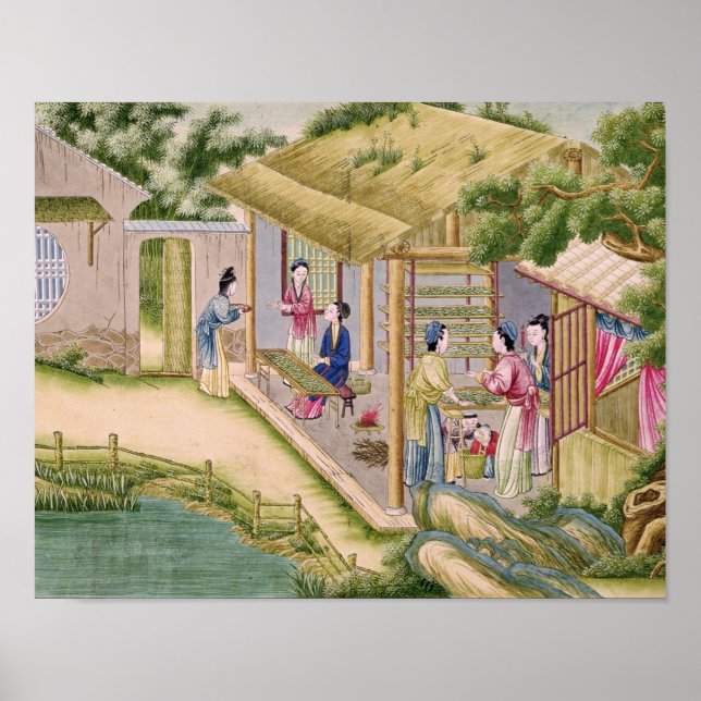 Lernen über Seidenraupen Poster (Vorne)