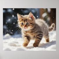 *~* Lernen über Snow Kitty 5:4 Kätzchen AP68