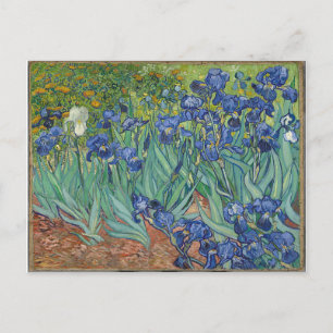 Les Iris Irises Vincent Van Gogh Postkarte