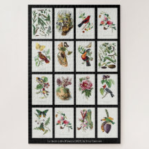 Les Jardins des Plantes Vintage-Illustrationen 002
