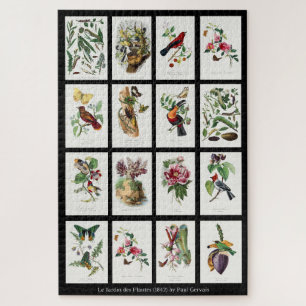 Les Jardins des Plantes Vintage-Illustrationen 002 Puzzle