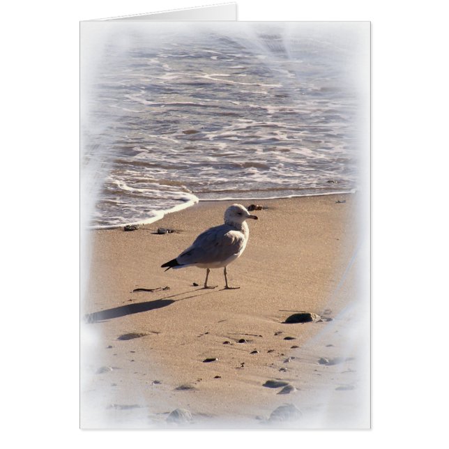 Les Long Walks on the Beach.. (Vorne)