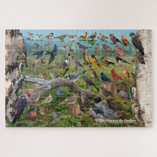 Les Oiseaux du Québec Puzzle
