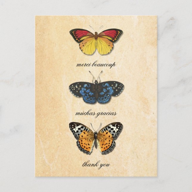 Les Papillons Vielen Dank Postcard Postkarte (Vorderseite)