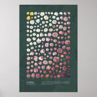 Les Rose von Redouté Poster