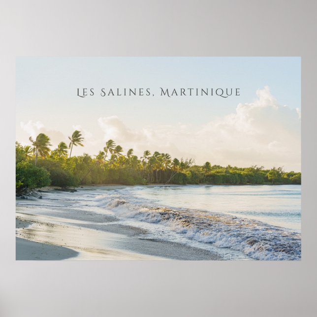 Les Salines beach Martinique Scenic travel  Poster (Vorne)