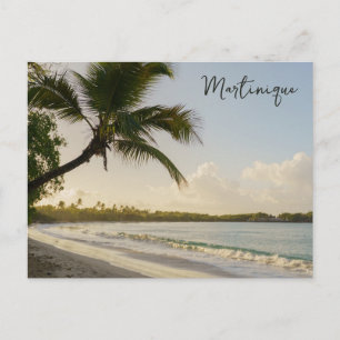 Les Salines Strand Martinique Träumereise Postkarte