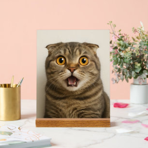 Lesbians essen, was lustig acrylschild