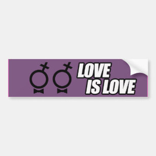 LESbische Liebe ist Liebe --.png Autoaufkleber
