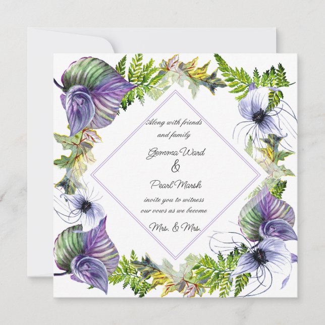 Lesbische Lila Clematis und Blätter (Vorderseite)