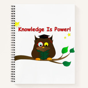 Lesen eines klugen Owl Notizbuch