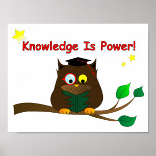 Lesen eines klugen Owl Poster