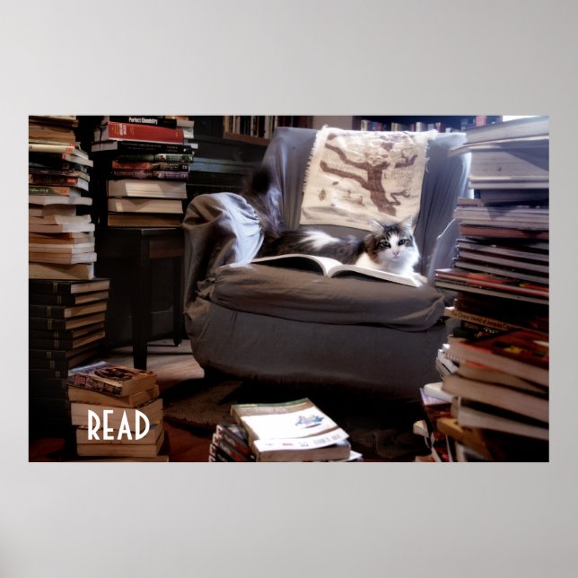 Lesen Poster (Vorne)