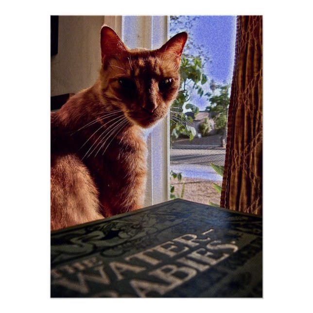 Lesen Sie meinen Geist, Katzen-Poster Poster (Vorderseite)