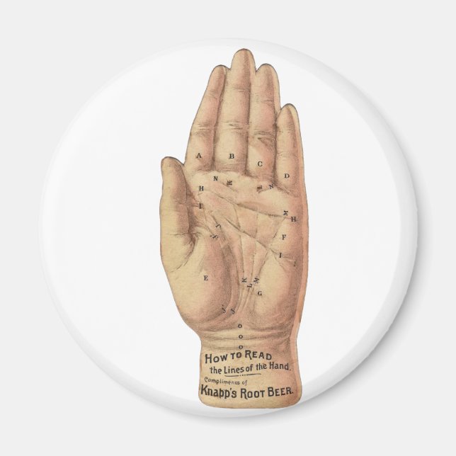 Lesen von Palmen Magnet (Vorne)