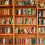Lesewortlesung der virtuellen Bibliothek Fotoskulptur Magnet<br><div class="desc">Schulbücher auf einem braunen Holzbücherregal für Lehrer,  Schüler und Buchwürmer.</div>