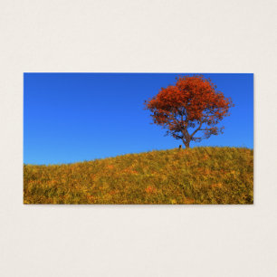 Lesezeichen des Herbsttages löschen