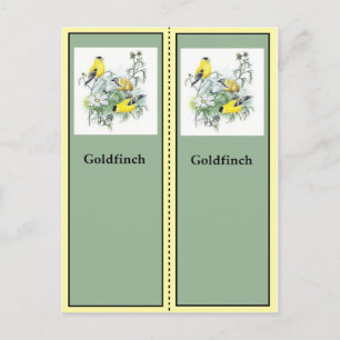 Lesezeichen für Goldfinch-Vogelbeobachtung Postkarte