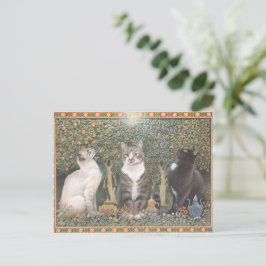 LESLEY ANNE IVORYS CHRISTMAS CAT POSTCARD POSTKARTE
