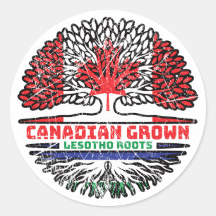 Lesotho Canadian Canada Tree Roots Flag Runder Aufkleber